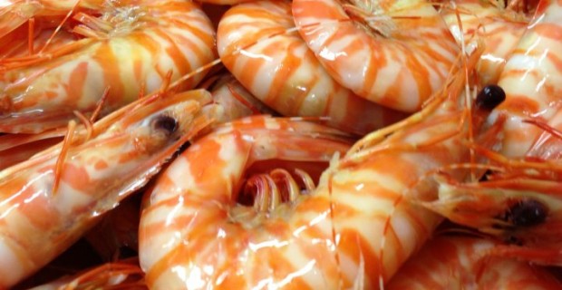 Fresh Local and Imported Prawns