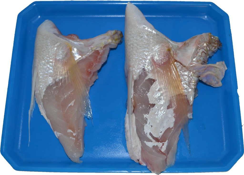 Fresh Fish wings Poseidon Seafoods